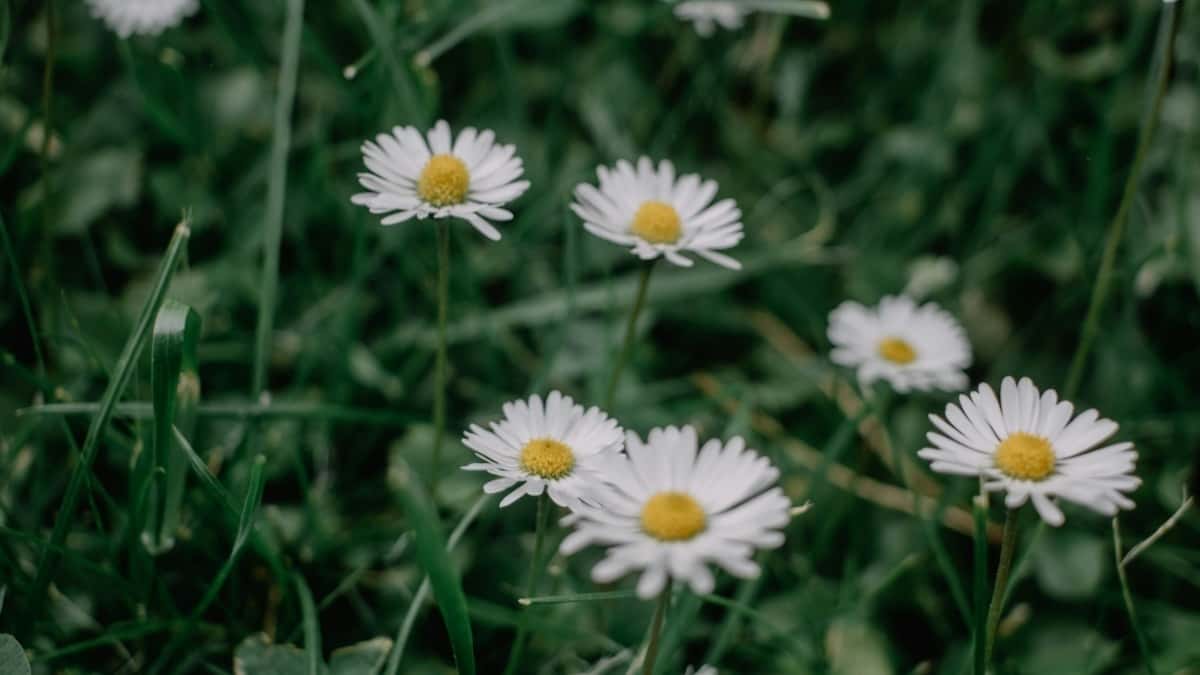Πως οι Instagram influencers στην Ελλάδα συνεργάζονται με brands στο Ισραήλ