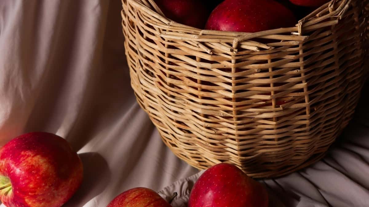 Πώς οι Instagram Influencers στην Ελλάδα μπορούν να συνεργαστούν με brands στη Γαλλία