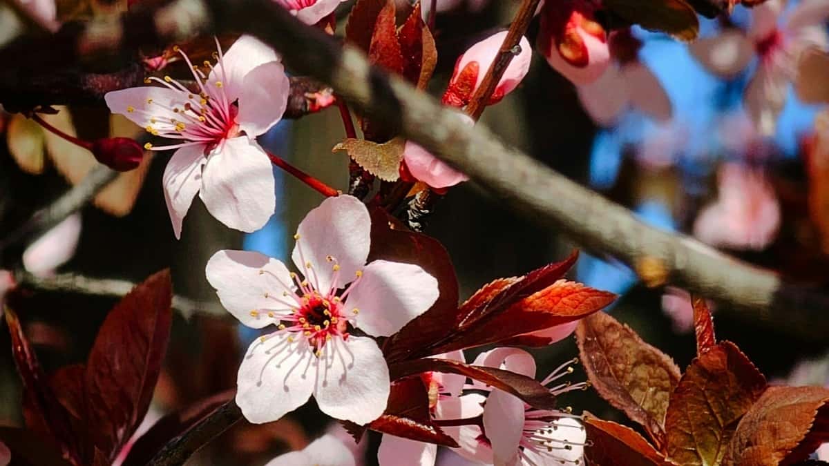 Πώς οι Ελληνικές Μάρκες Κερδίζουν Μεγάλες Συμφωνίες Μακροχρόνιας Συνεργασίας με Ιταλούς Influencers στο Instagram