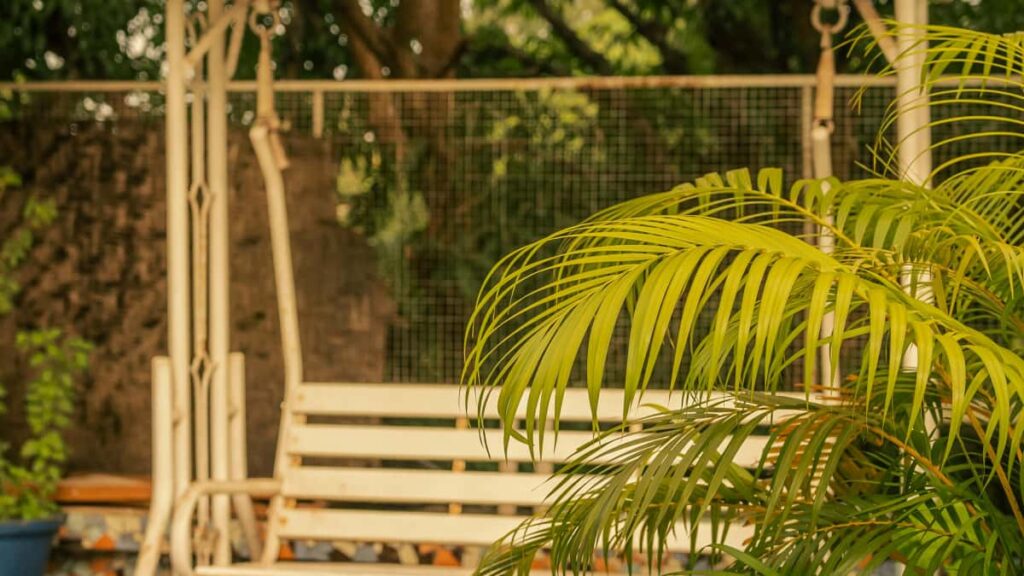 : creators Snapchat dance challenges, , outreach scripts .