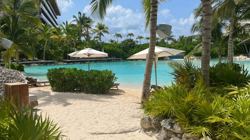 : , giveaway creators , .