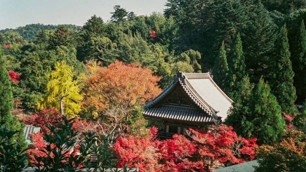 : Snapchat creators Puerto Rico .