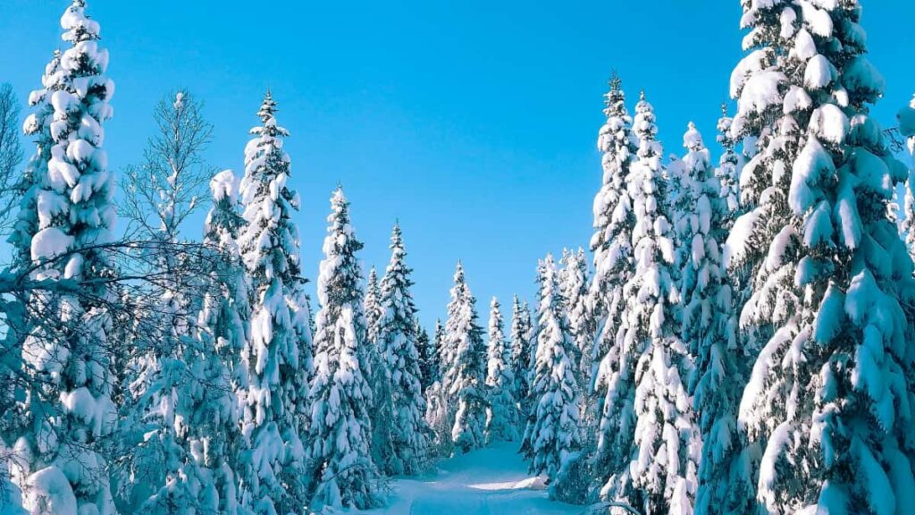 creators: , taktik Roposo gameplay challenges.