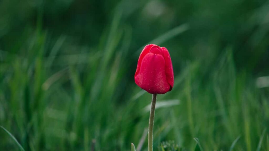 Instagram creators seasonal fashion trends , , .