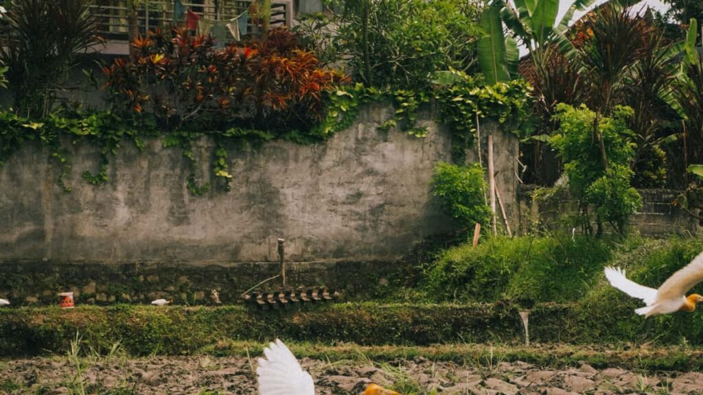 creators Instagram .