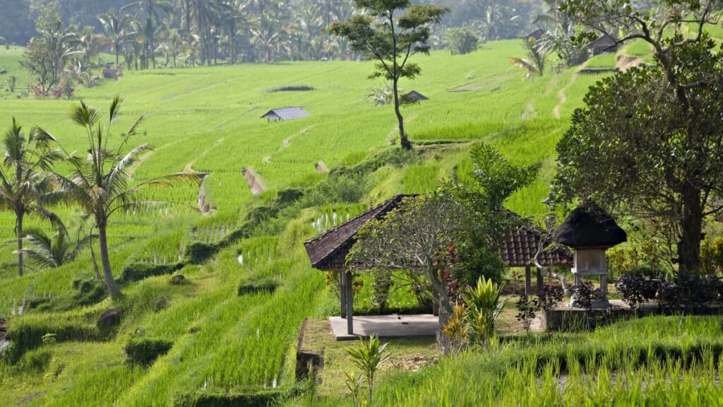 fixed-fee Cambodia TikTok , , .