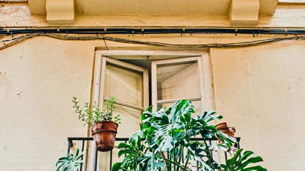 Colombia Line creators .