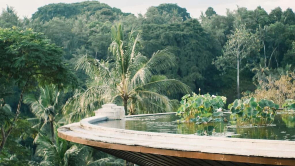 advertisers YouTube tutorial creatorled .