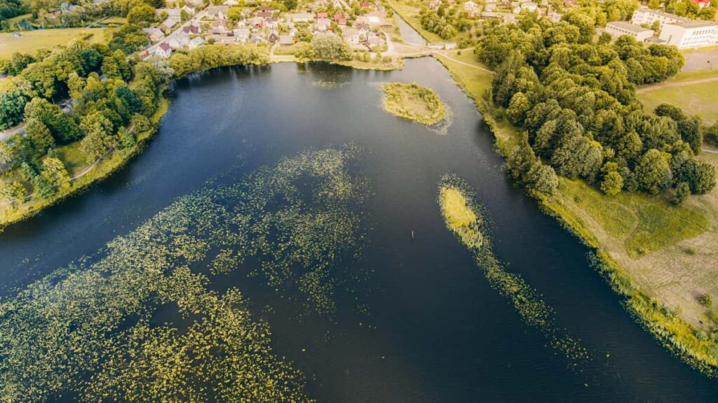 : Puerto Rico Bilibili top creators product lines.