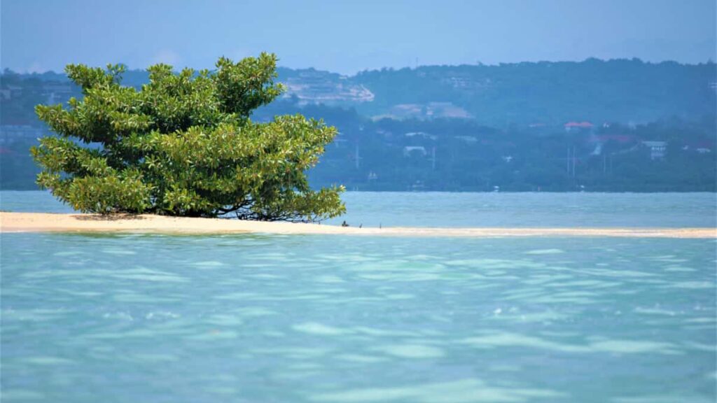 : , seeding deals OnlyFans , .