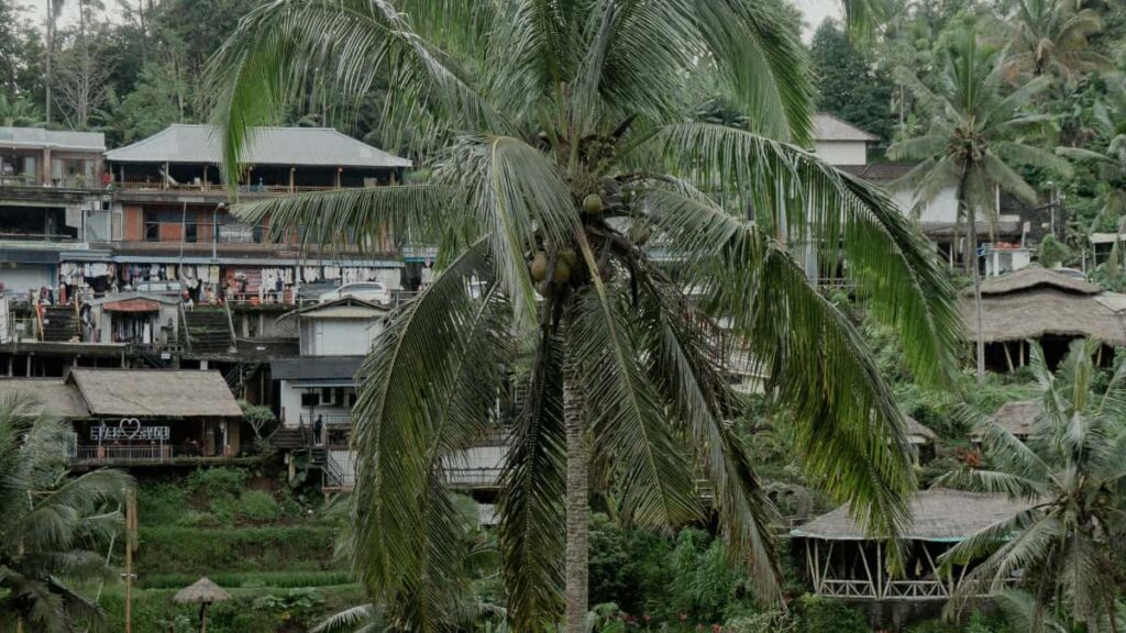 creators : pitch- Lazada short-form.