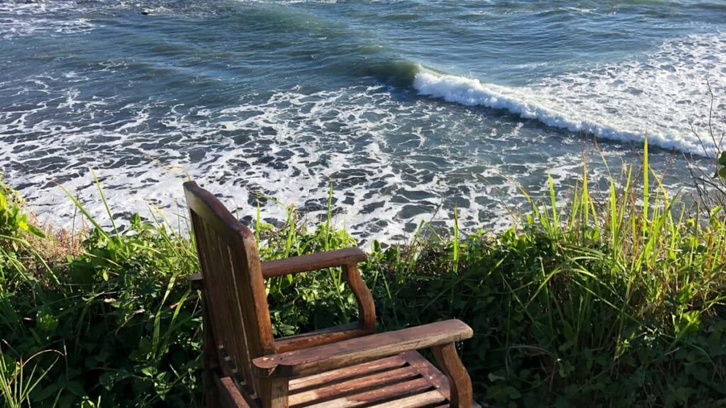 creators: Spotify UGC .