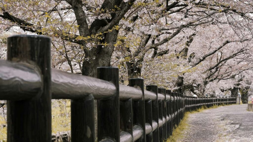 : creators India Viber awareness gaming .