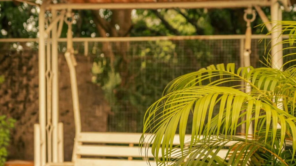 KakaoTalk midtier creators.