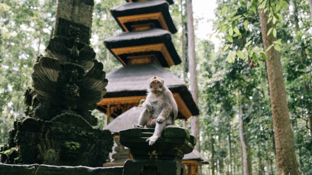 creators: , gameplay challenges Clubhouse , .