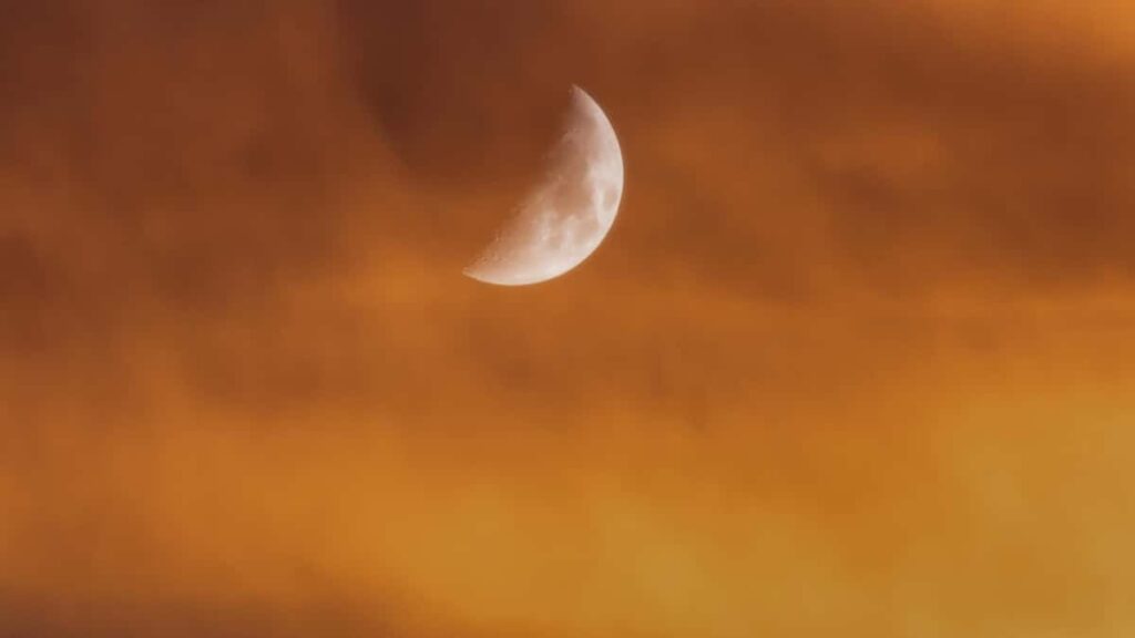 creators : brands Amazon productivity guides .