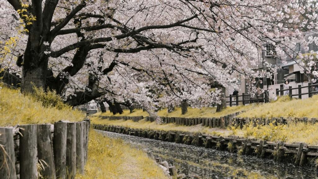 creators: brands Netflix branded tutorials, , pitch templates .