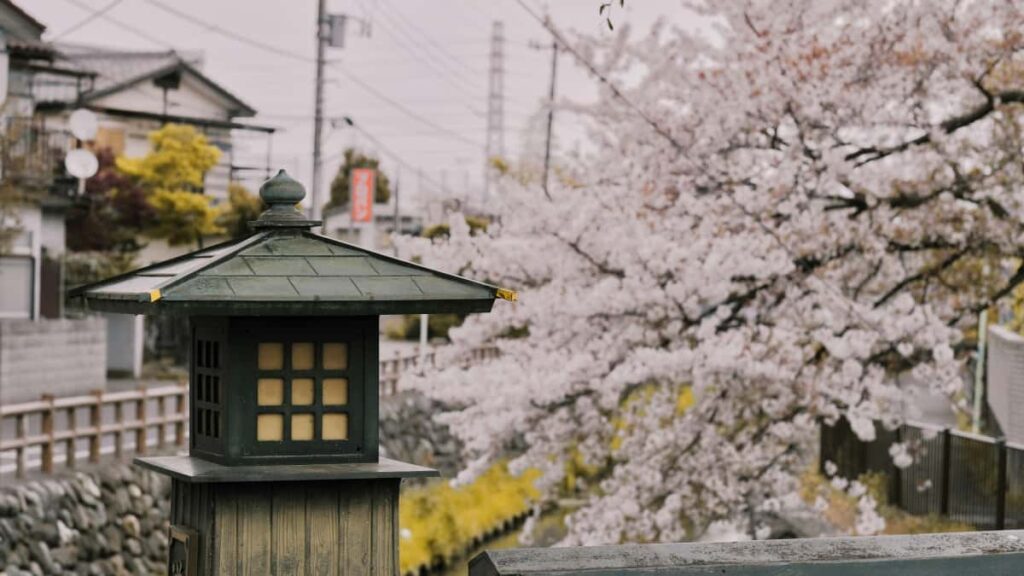 creators: , fitness brands Zalo, insights Lazada .