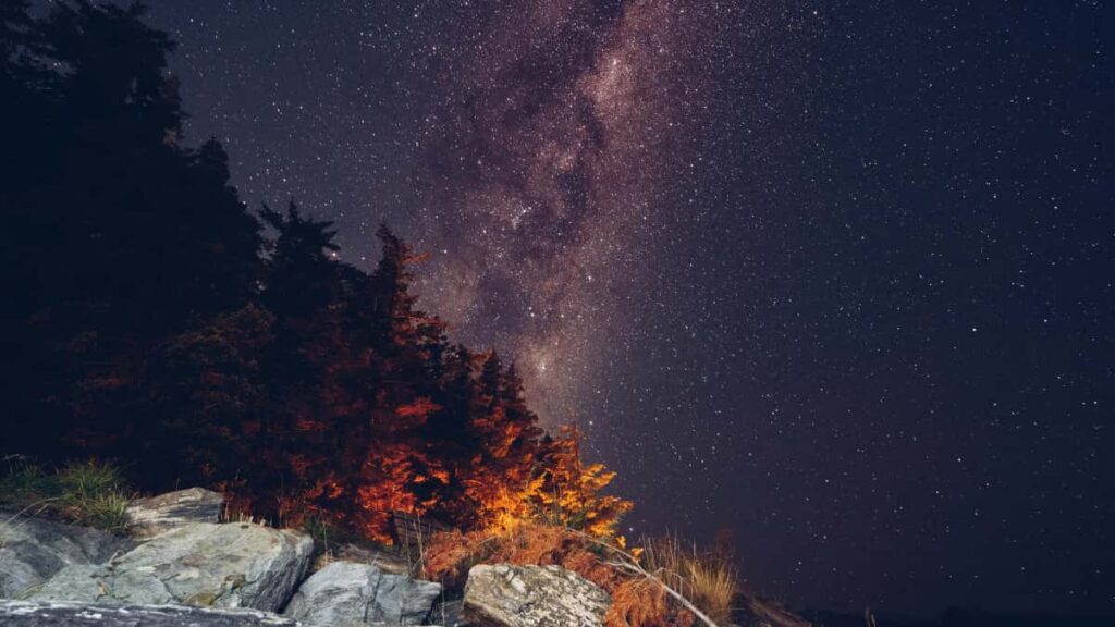 creators: , LinkedIn branded travel vlogs.