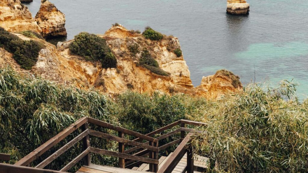 brands / Disney Plus, KPIs CTAs.