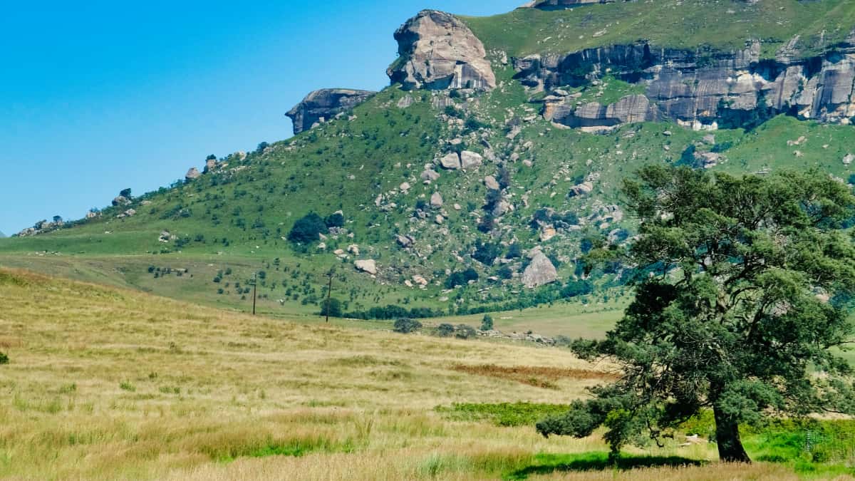 Δημιούργοι στην Ελλάδα: Πώς να προσεγγίσεις Georgian brands στο VK για must-have προϊόντα