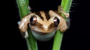 creators : , brands YouTube brand campaigns.