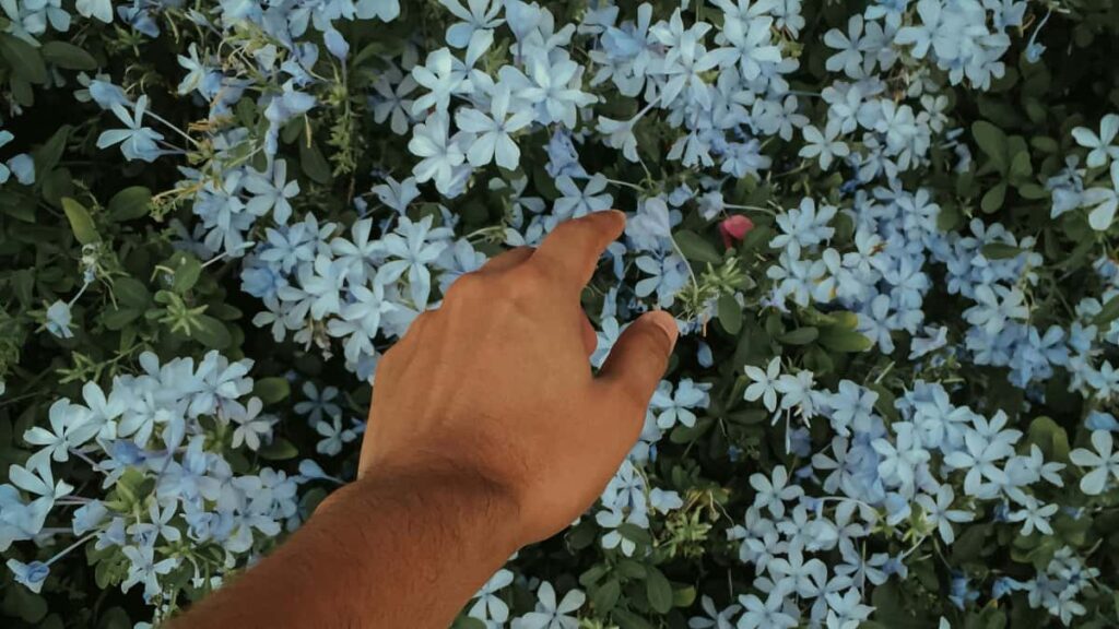 creators : , outreach tacticts brands eBay .