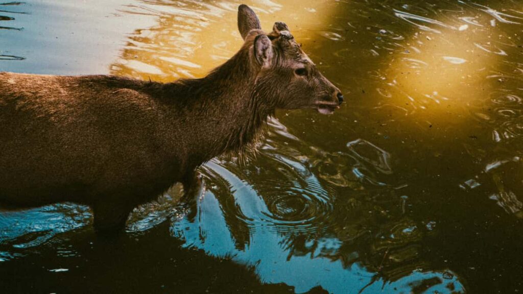 : , Facebook creators traffic fitness apps.