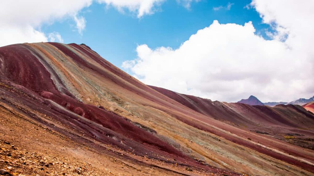 : , creators Spotify viral measurable ROI.