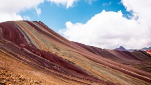 : , creators Spotify viral measurable ROI.