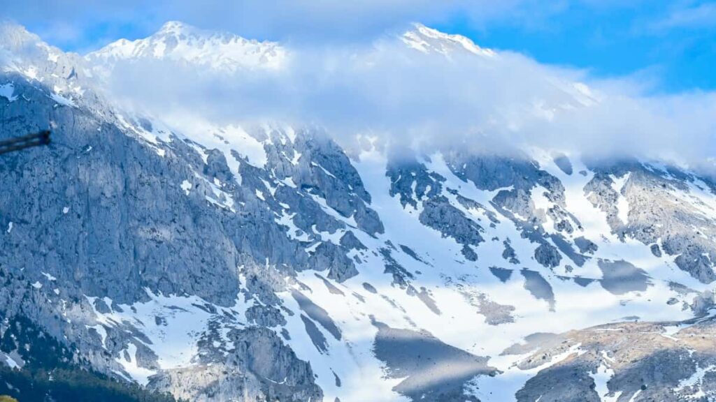 creators Malta Threads awareness , .