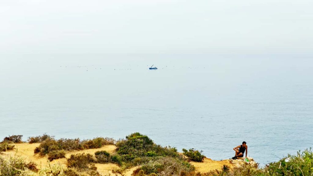 : , Amazon productivity guides.